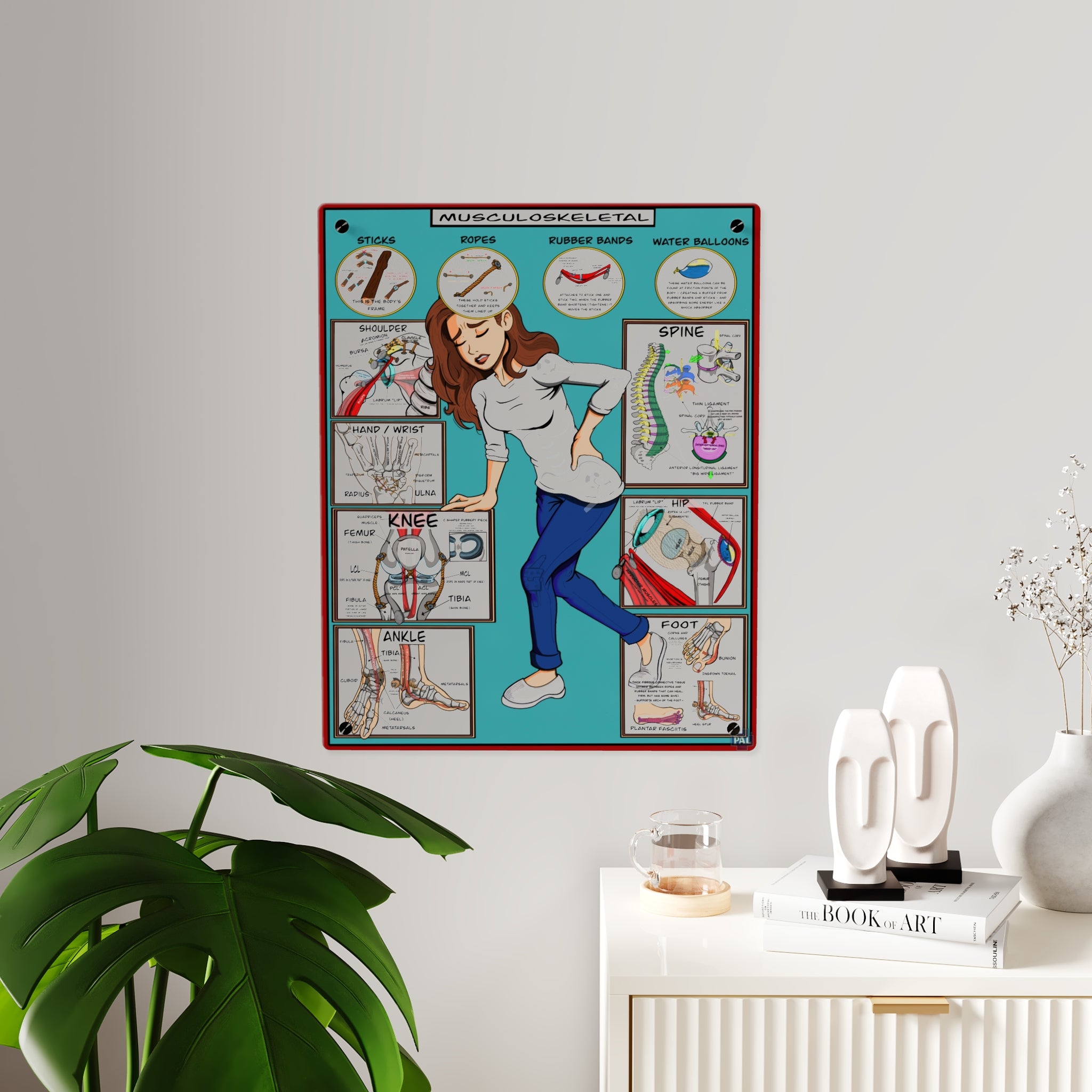 Musculoskeletal Acrylic Wall Art Panel for Patient Education in Clinics and Hospitals