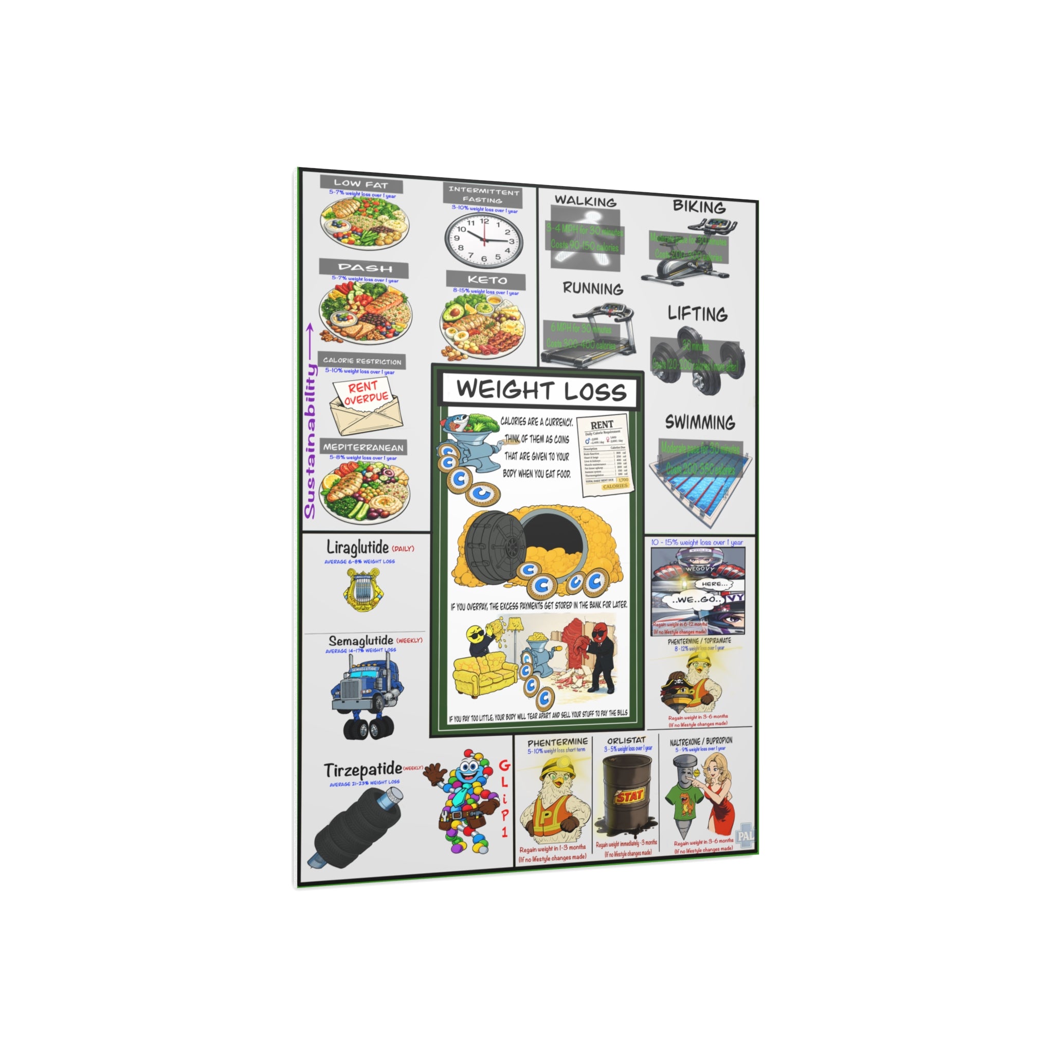 Clinical Weight Management Foam Board education infographic for medical offices