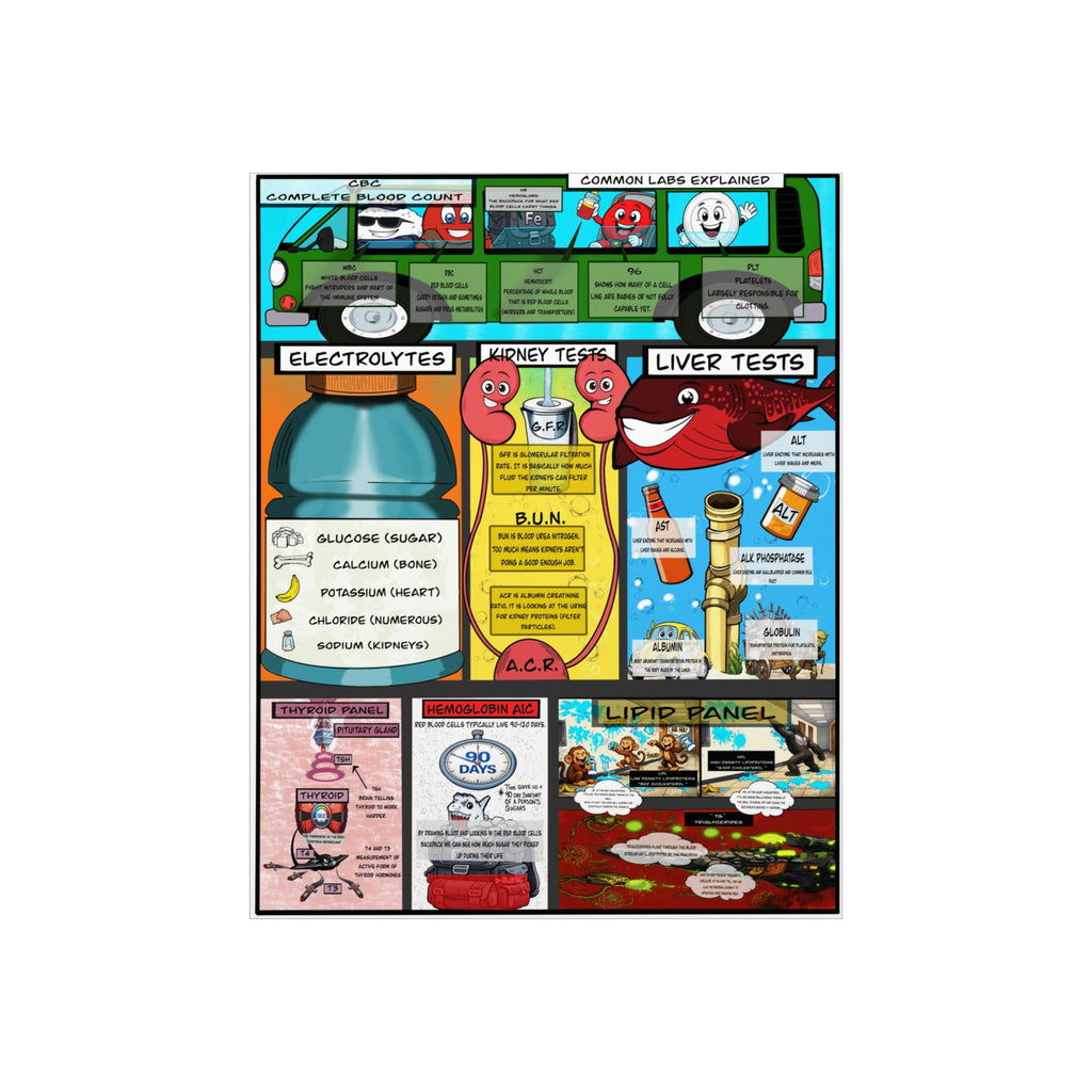 Clinical Common Lab Tests Foam Board education infographic for medical offices