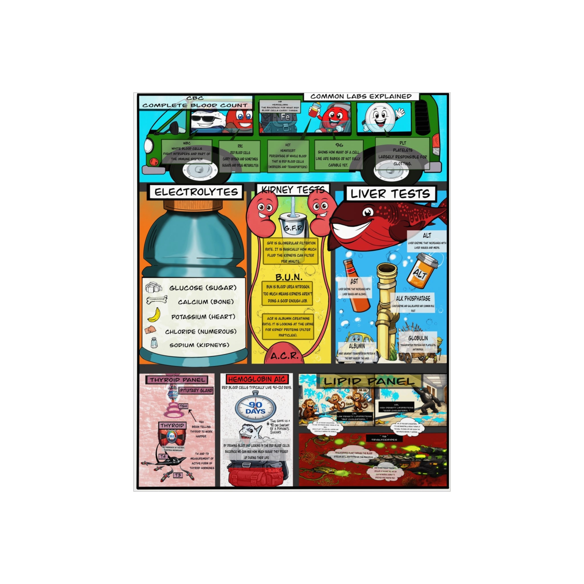 Clinical Common Lab Tests Foam Board education infographic for medical offices