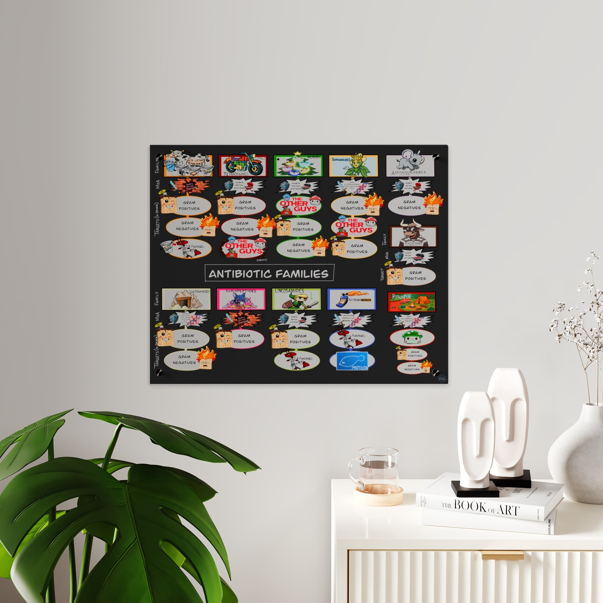 Antibiotic Families Acrylic Wall Art Panel for Patient Education in Clinics and Hospitals