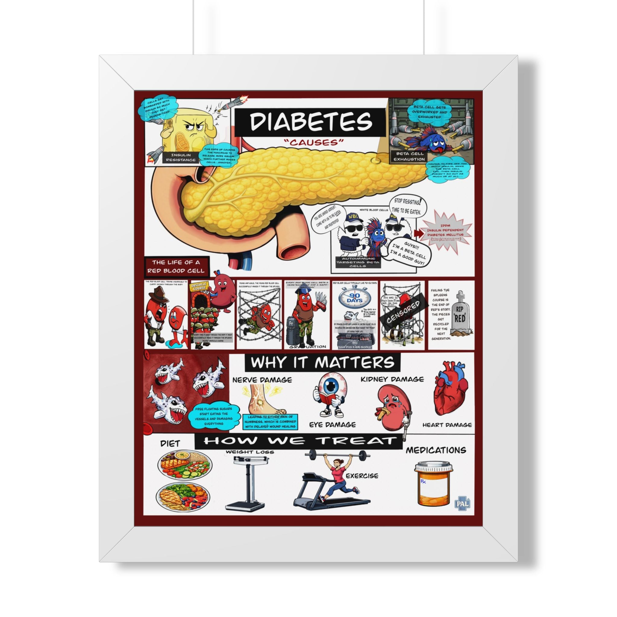 Diabetes Infographic for patient education in clinics, exam rooms, hospitals.
