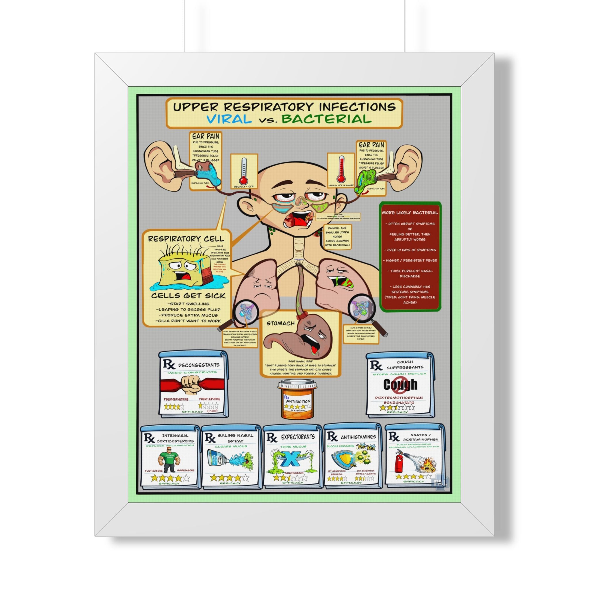 Upper Respiratory Infections Infographic for patient education in clinics, exam rooms, hospitals.