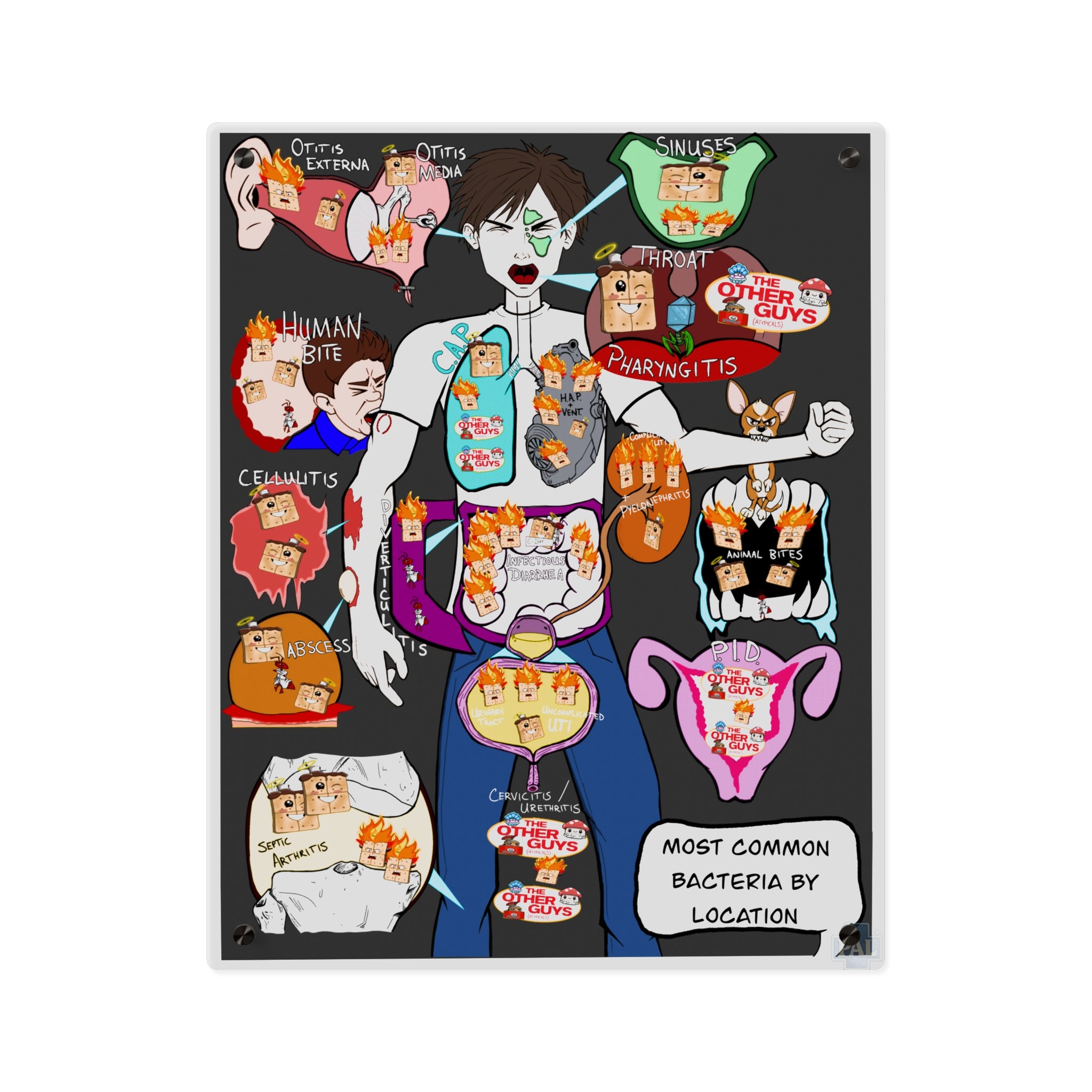 Antibiotics Acrylic Art Bundle