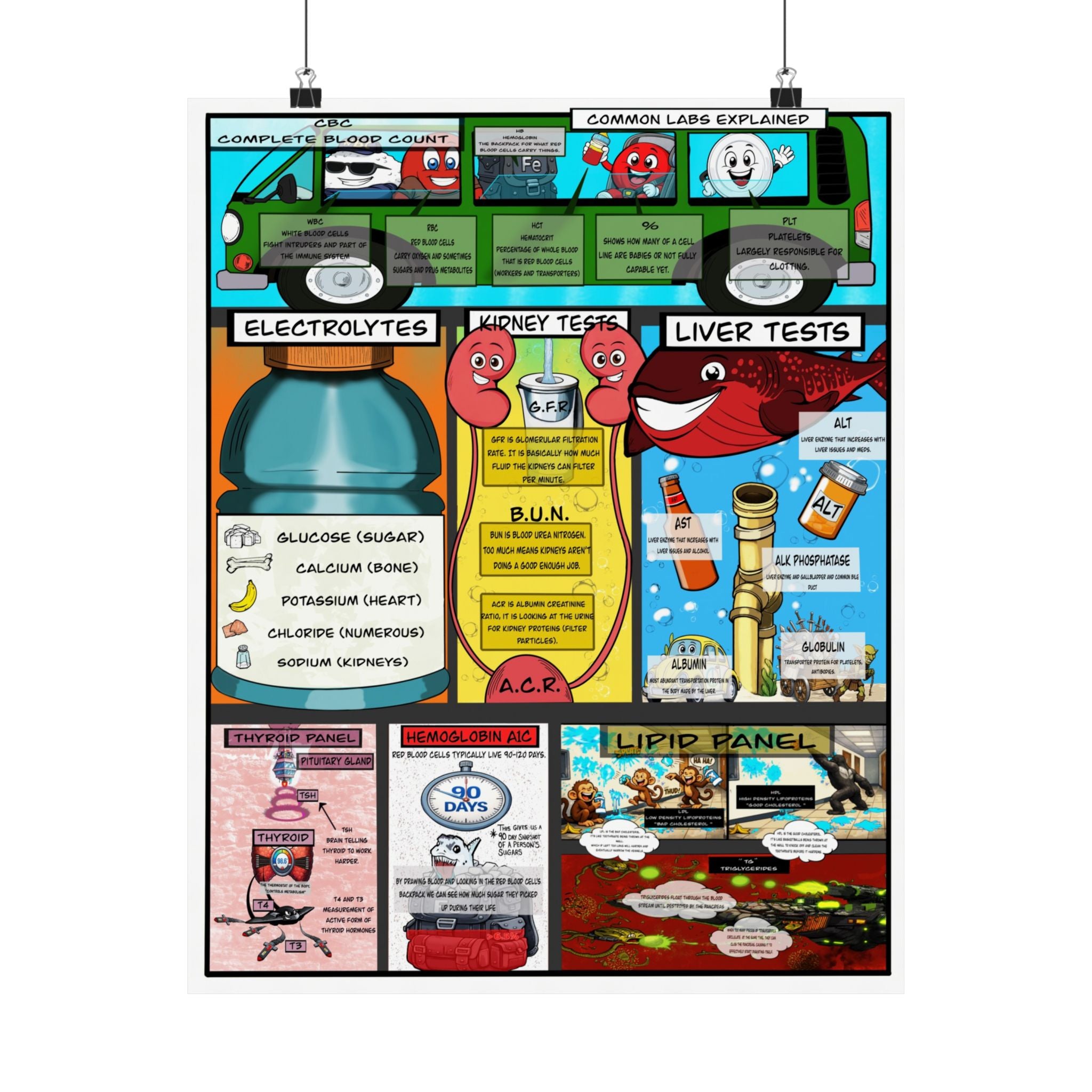 Common Lab Values Poster