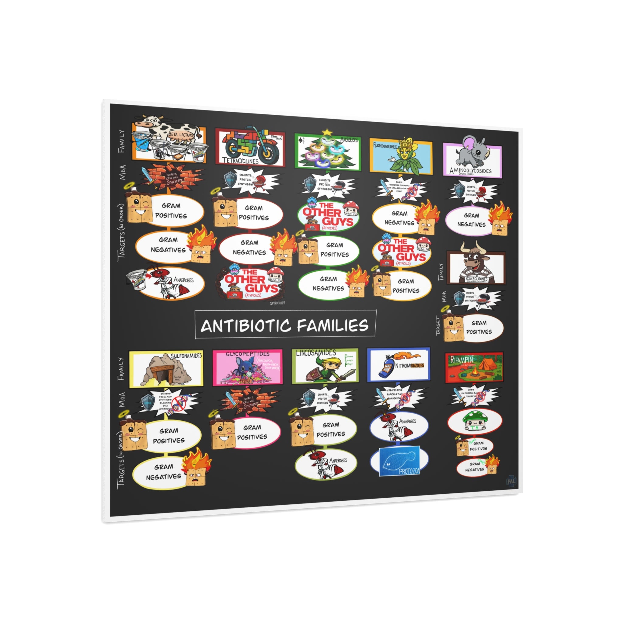 Clinical Antibiotic Families Foam Board education infographic for medical offices