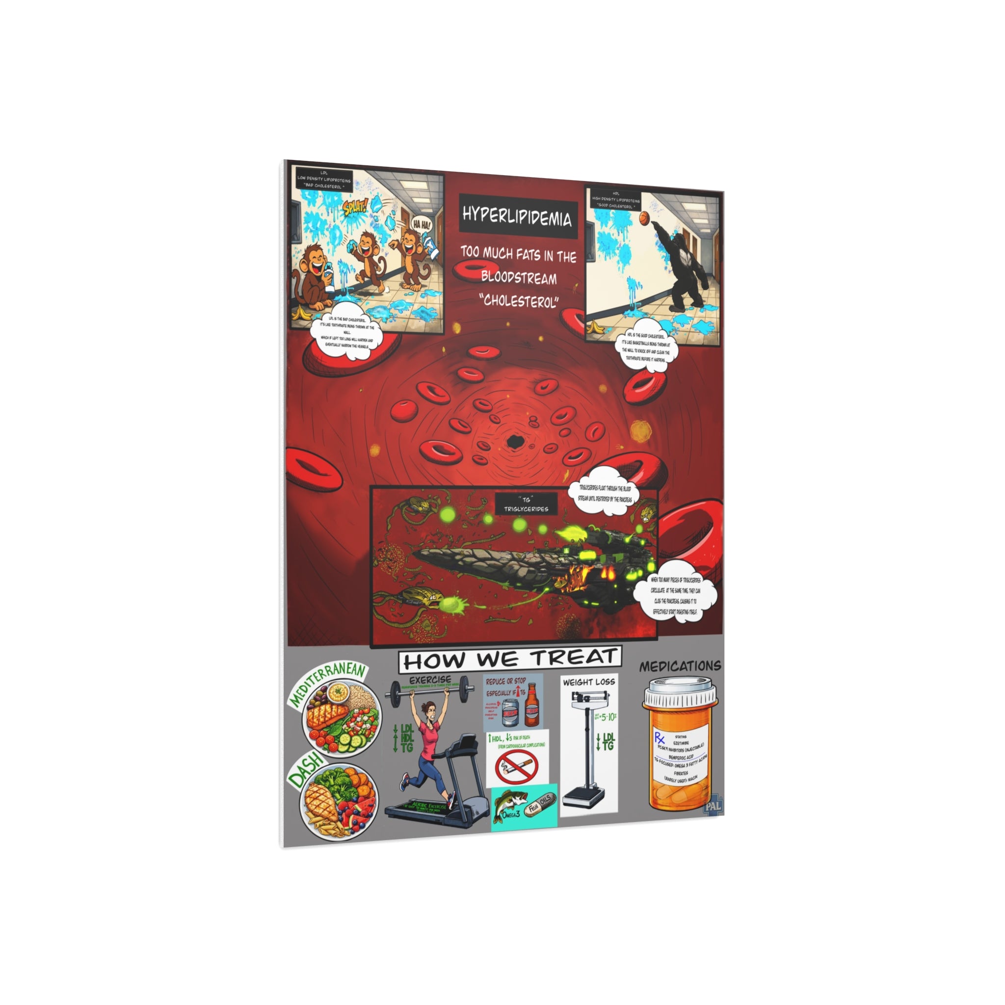 Clinical Cholesterol Foam Board education infographic for medical offices