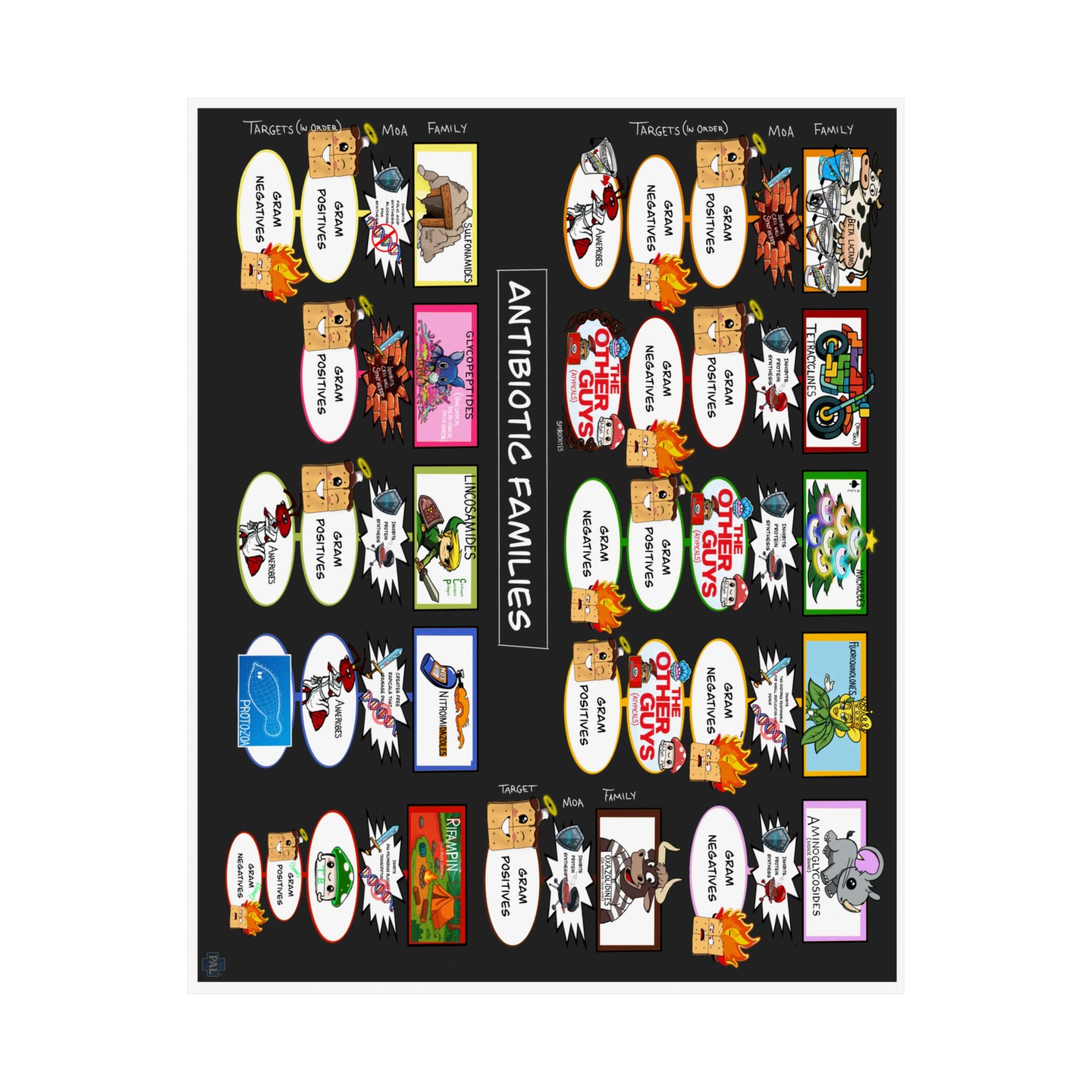 Antibiotics Poster for Patient Education in Clinics and Hospitals