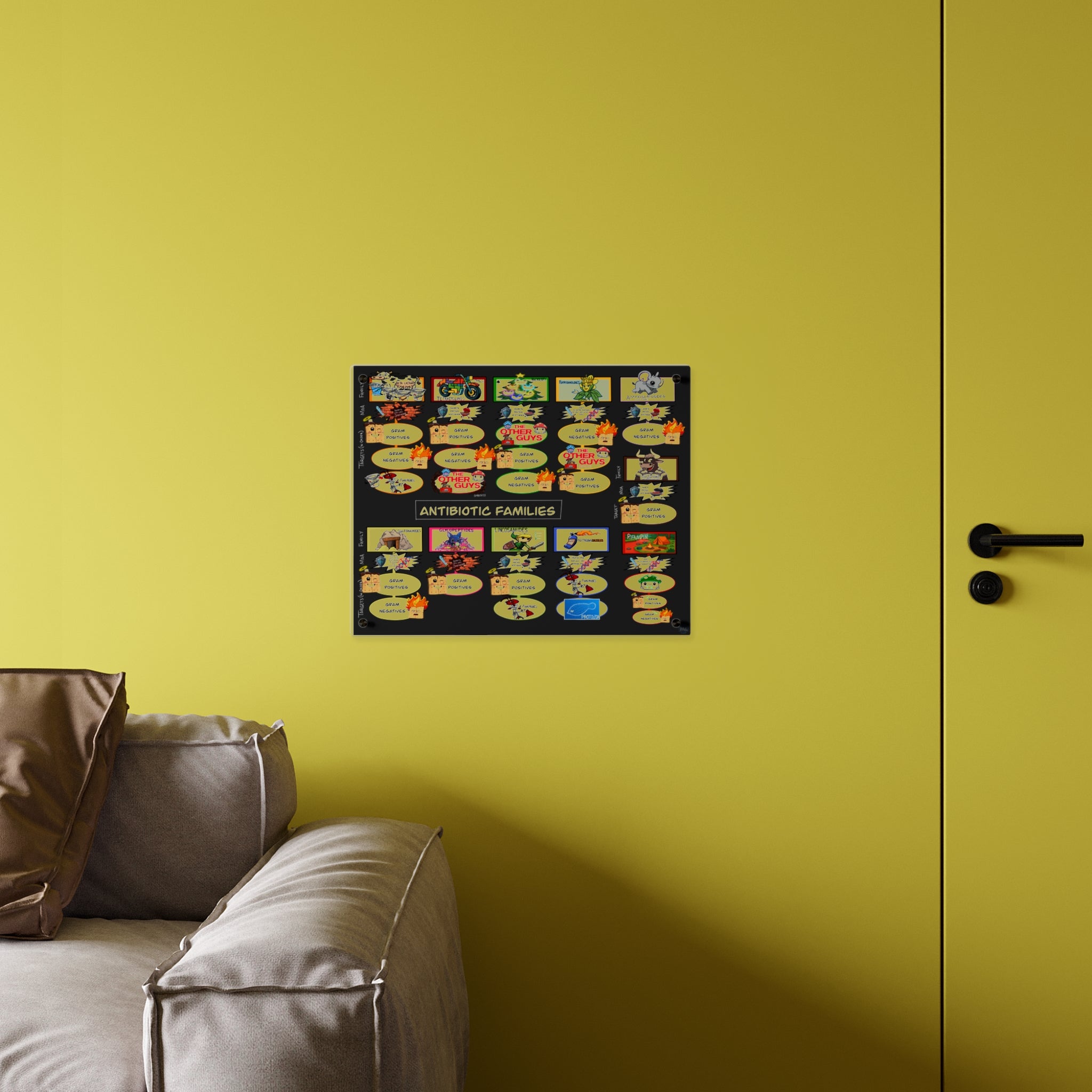 Antibiotic Families Acrylic Wall Art Panel for Patient Education in Clinics and Hospitals