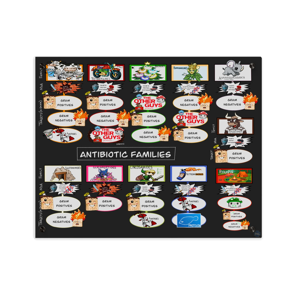 Antibiotic Families Acrylic Wall Art Panel for Patient Education in Clinics and Hospitals