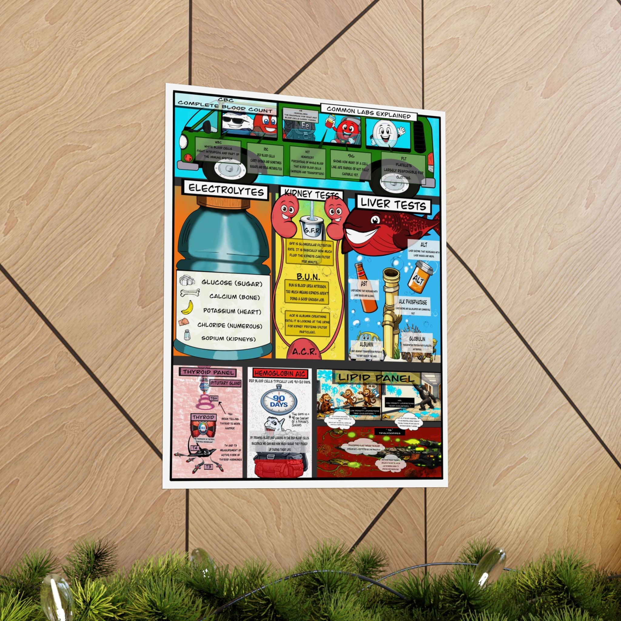 Common Lab Values Poster