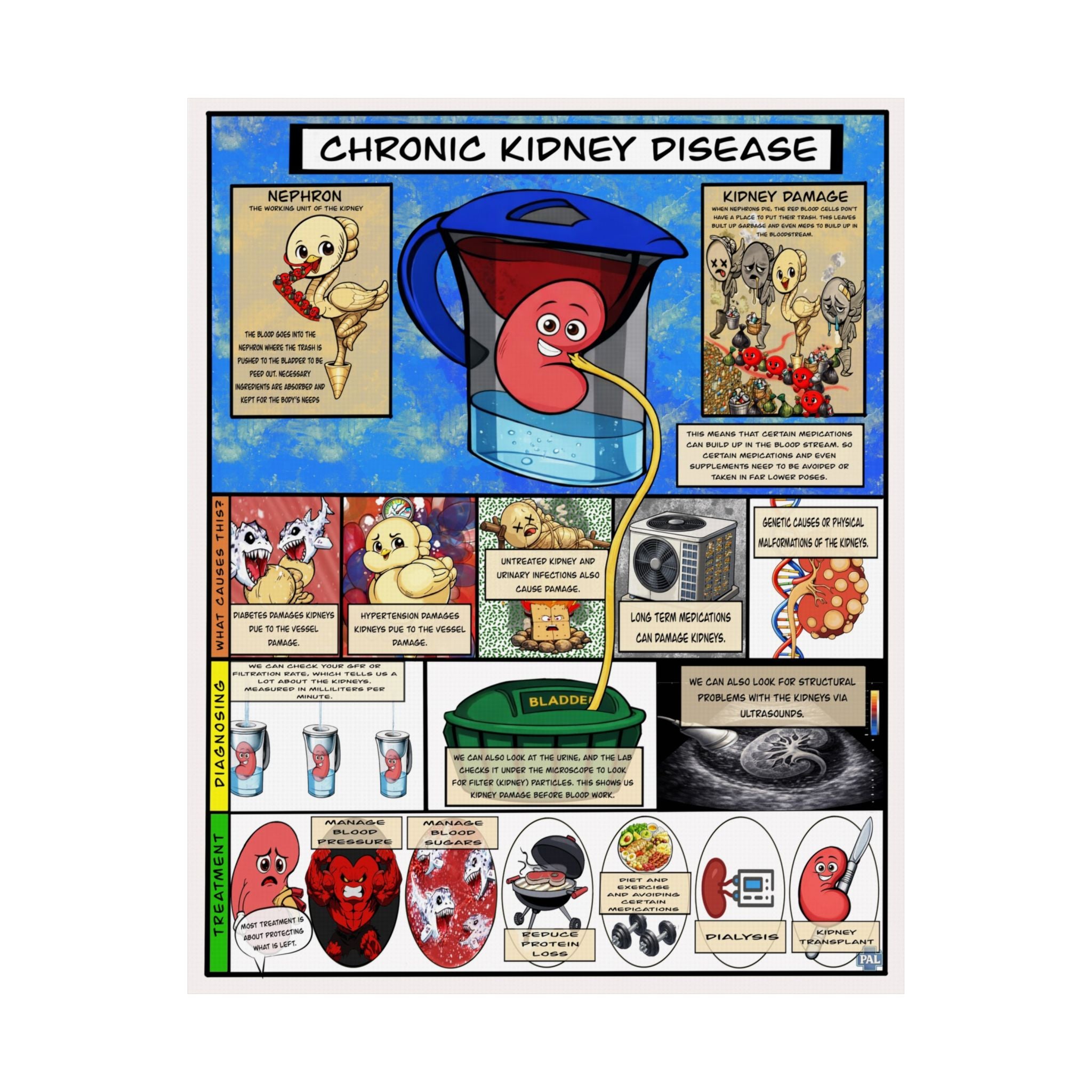 Chronic Kidney Disease Poster for Patient Education in Clinics and Hospitals