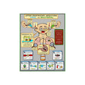 Clinical URI Foam Board education infographic for medical offices