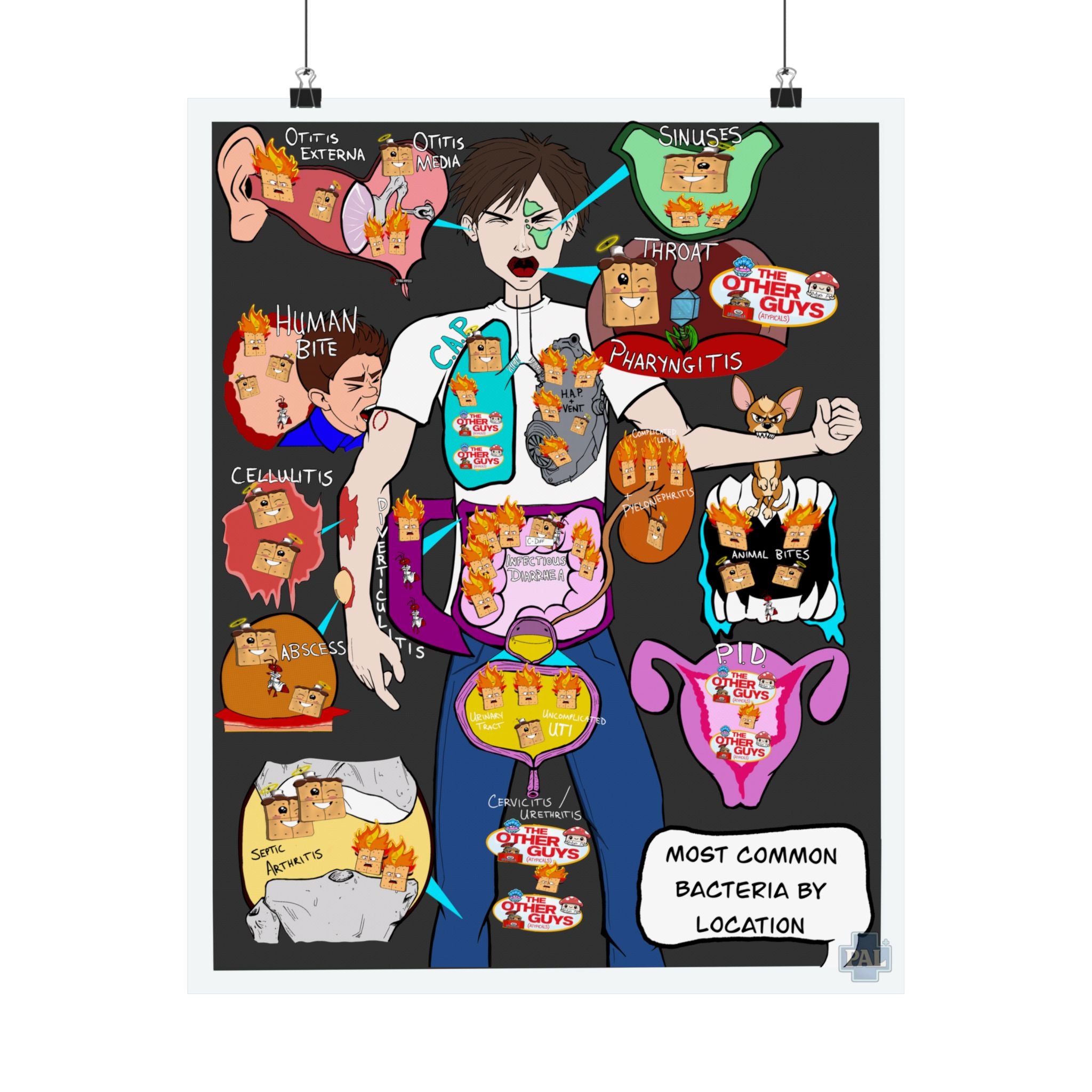 Most Common Bacteria by Body Poster for Patient Education in Clinics and Hospitals