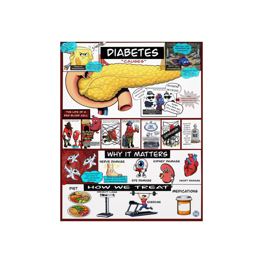 Primary Care Poster Bundle