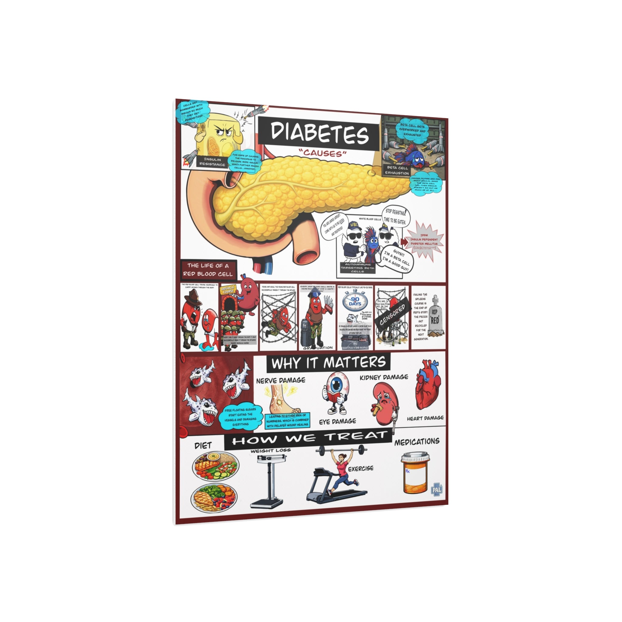 Clinical Diabetes Foam Board education infographic for medical offices