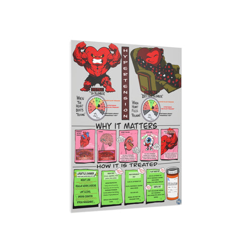 Clinical Blood Pressure Foam Board education infographic for medical offices