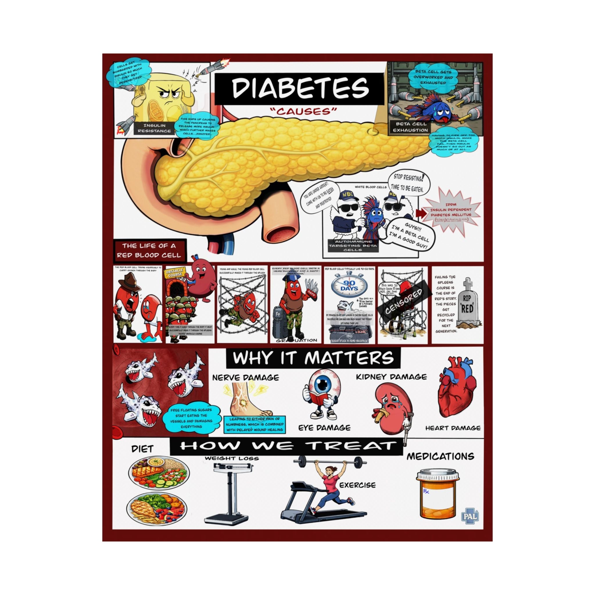 Diabetes Poster for Patient Education in Clinics and Hospitals
