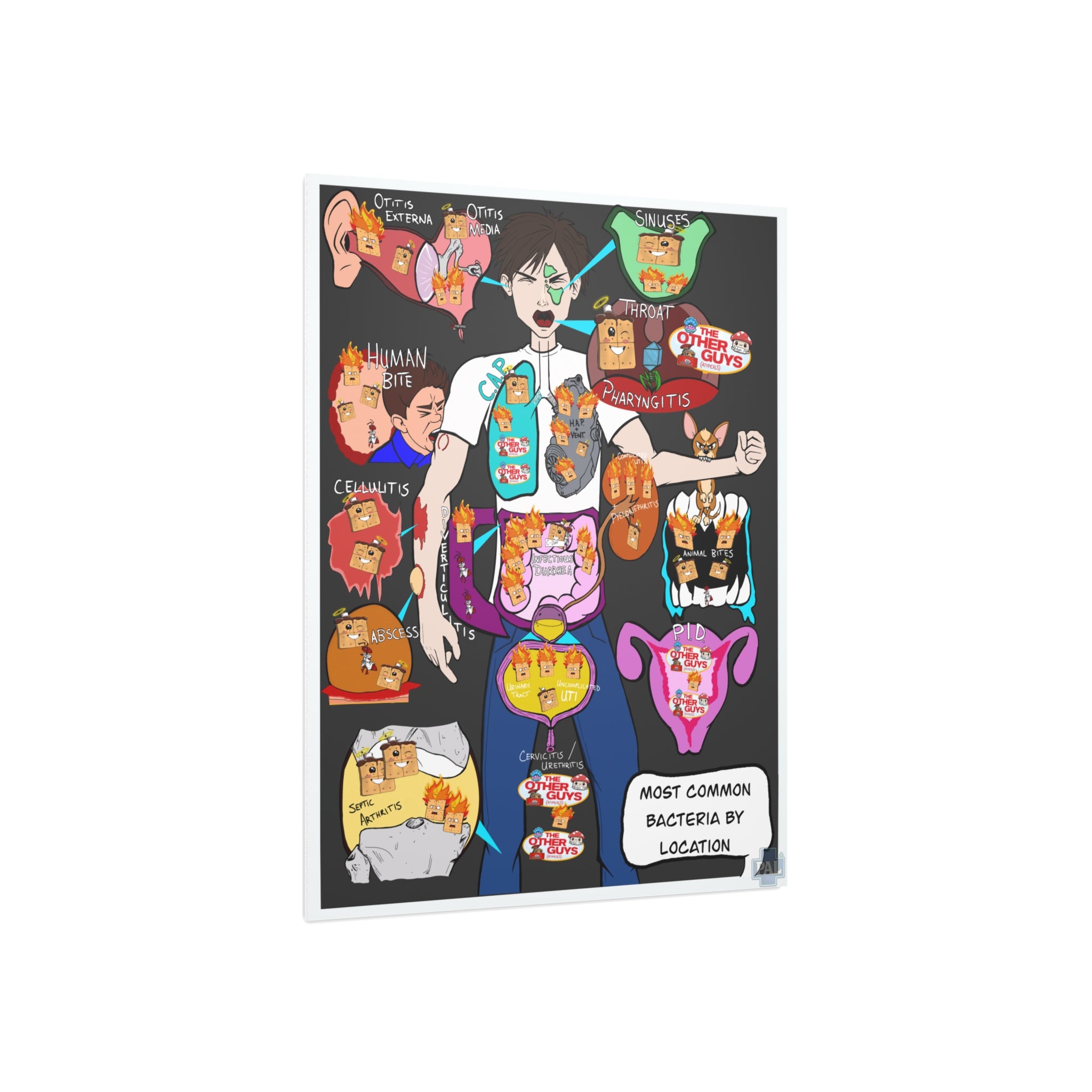 Clinical Bacteria Type by Region Foam Board education infographic for medical offices