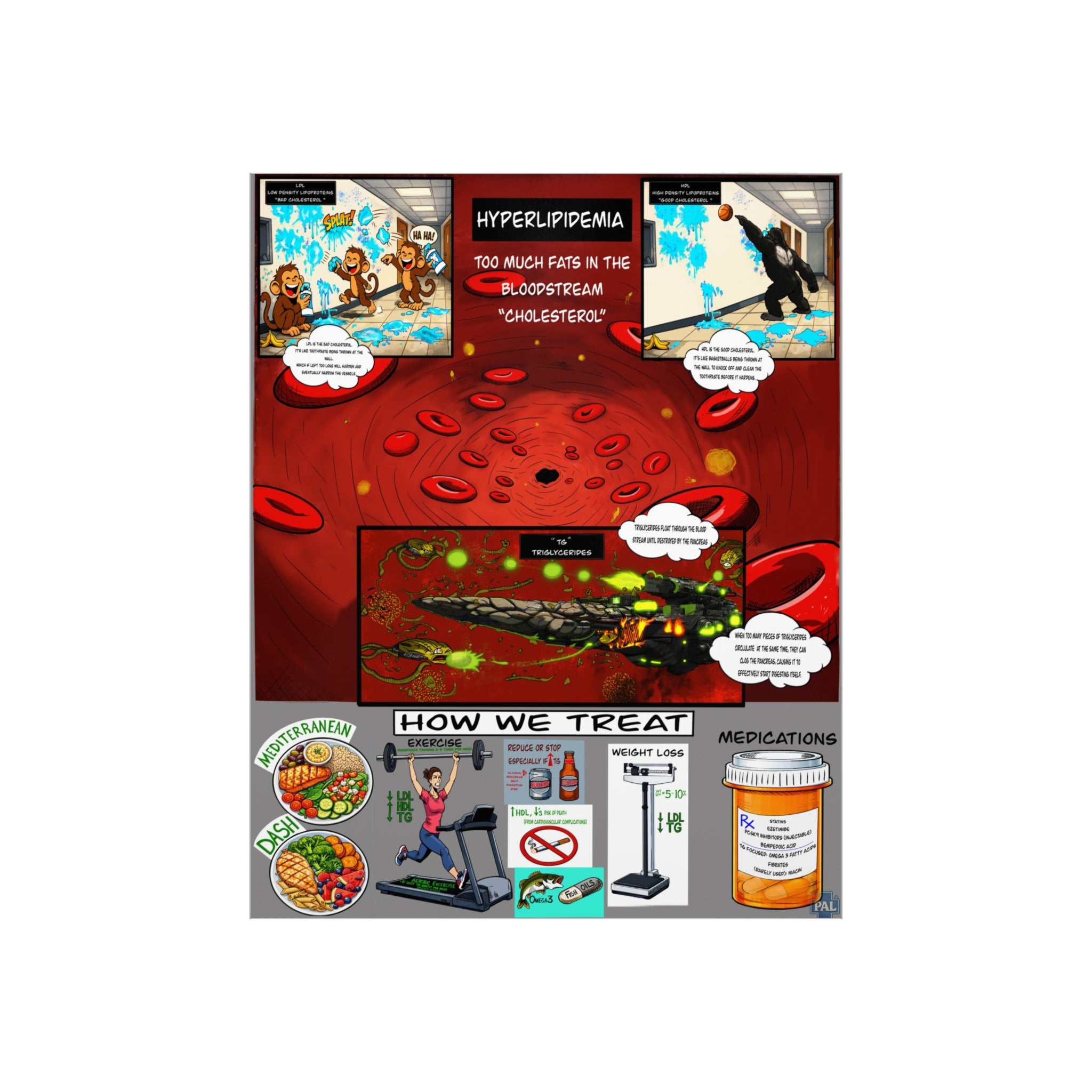 Clinical Cholesterol Foam Board education infographic for medical offices