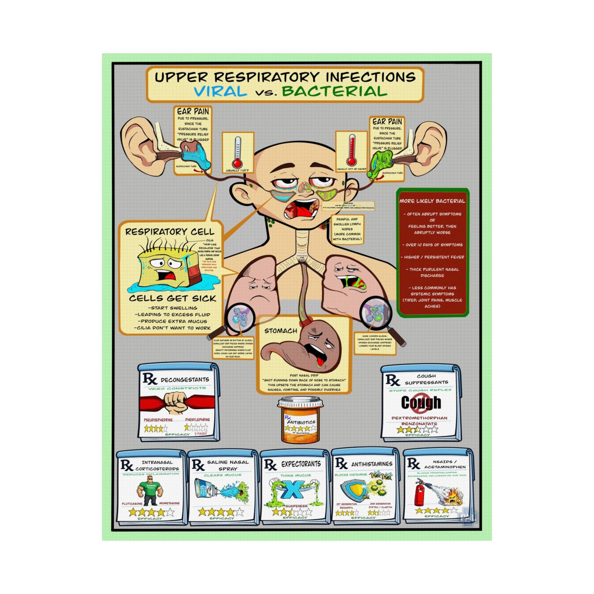 Antibiotics Poster Bundle