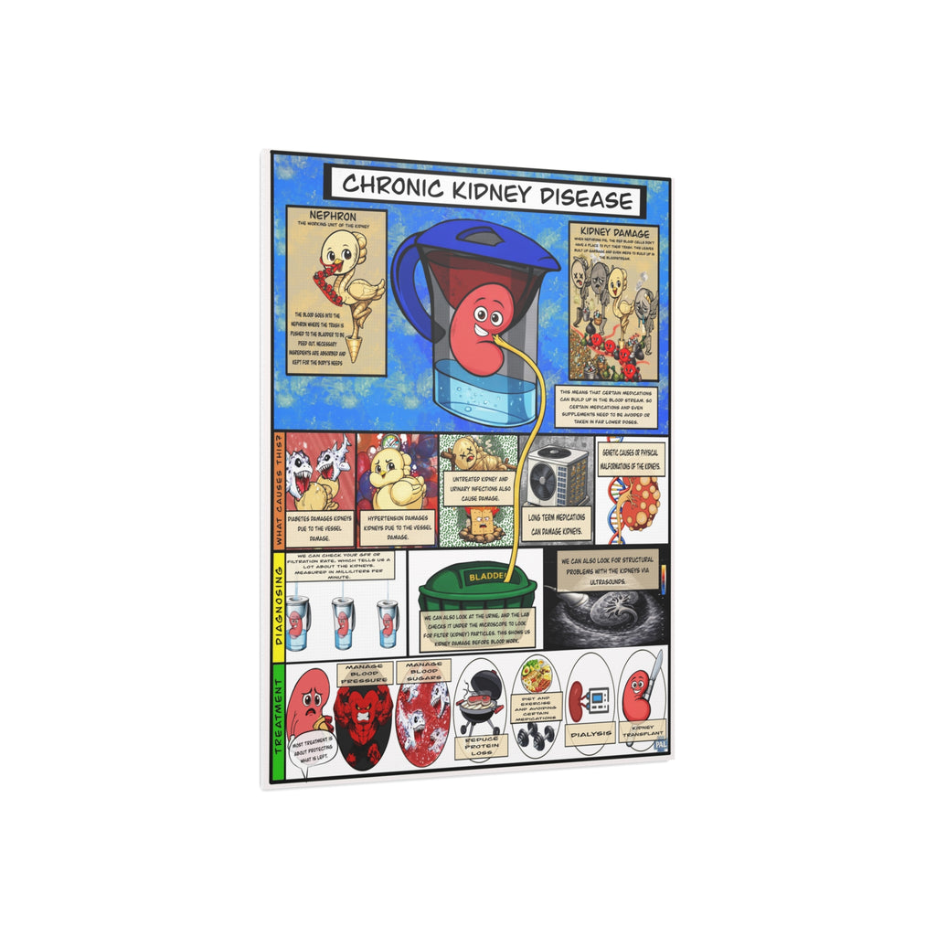 Clinical Kidney Foam Board education infographic for medical offices
