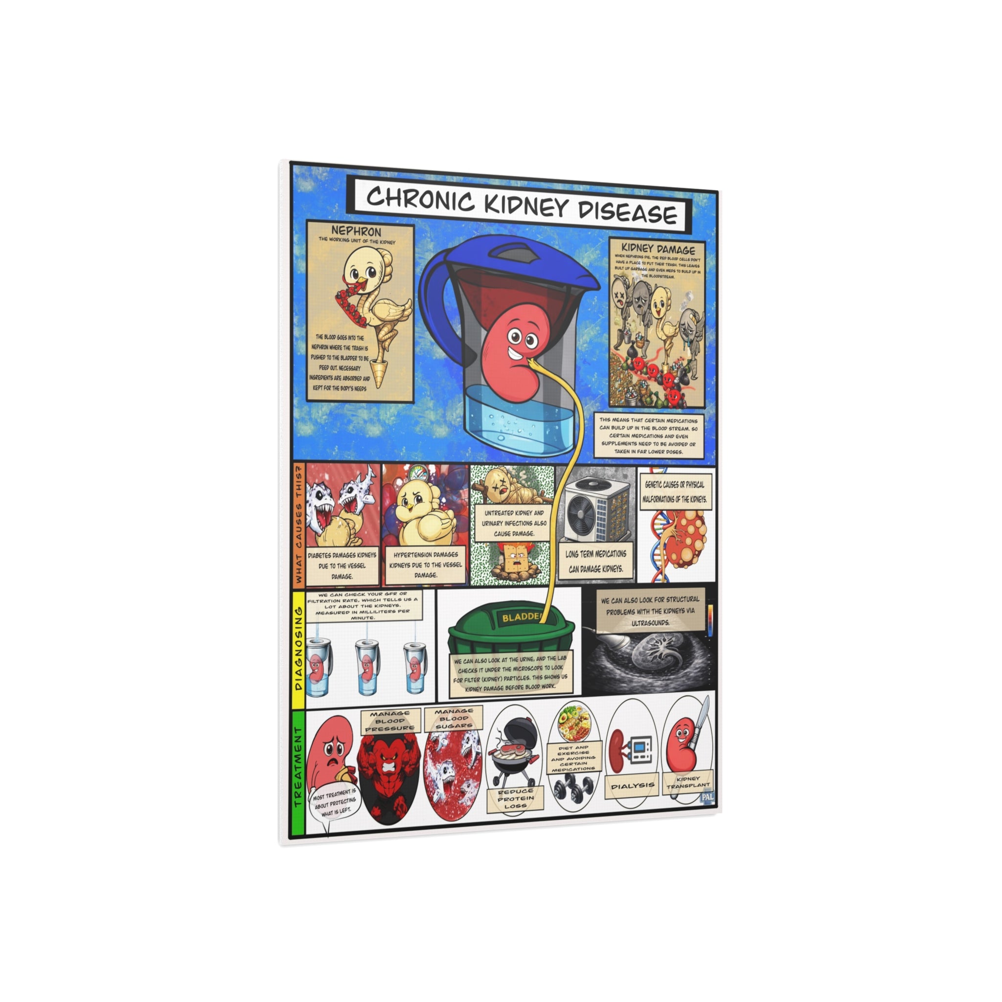 Clinical Kidney Foam Board education infographic for medical offices