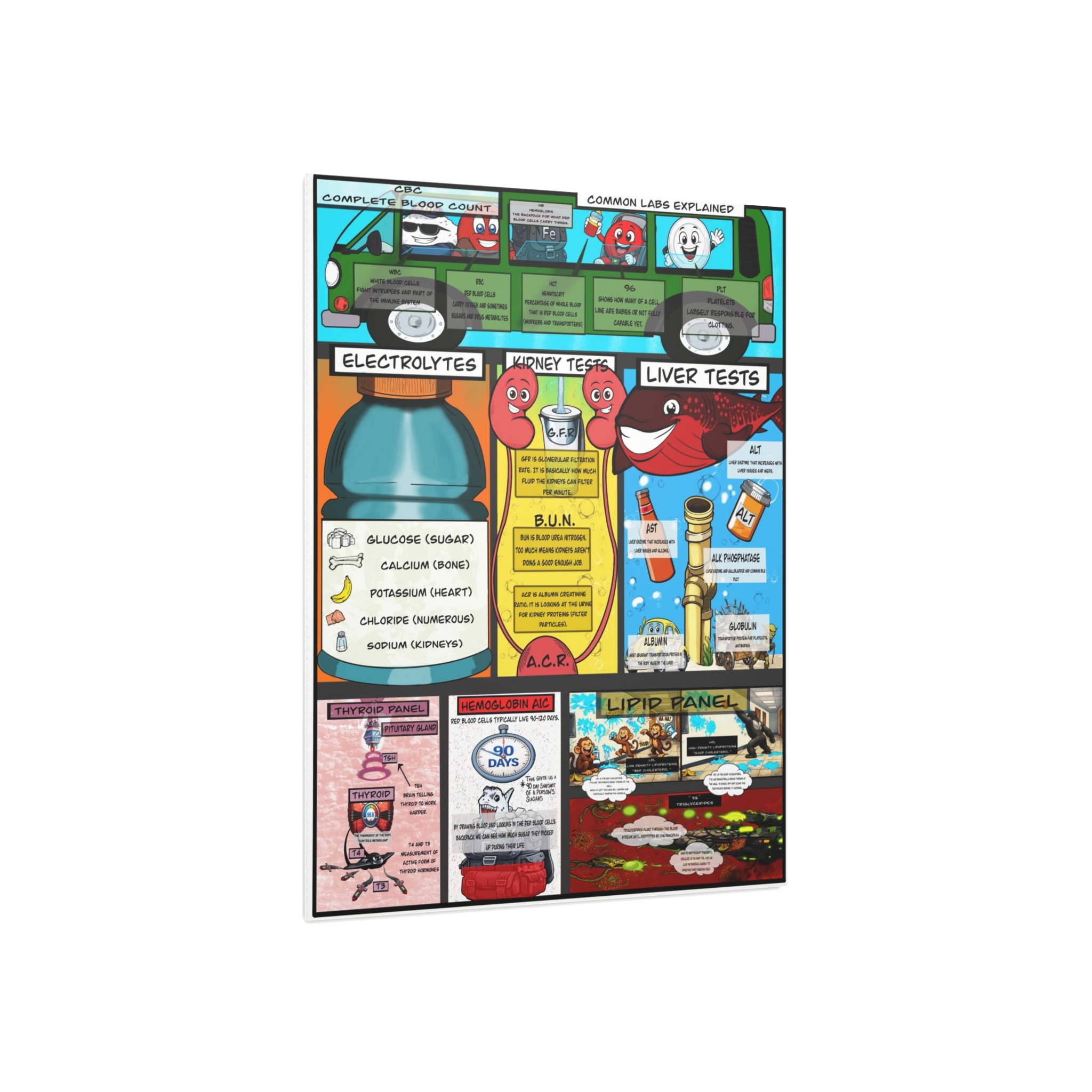 Clinical Common Lab Tests Foam Board education infographic for medical offices