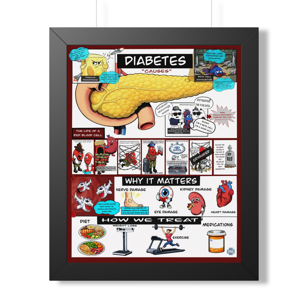 Diabetes Infographic for patient education in clinics, exam rooms, hospitals.
