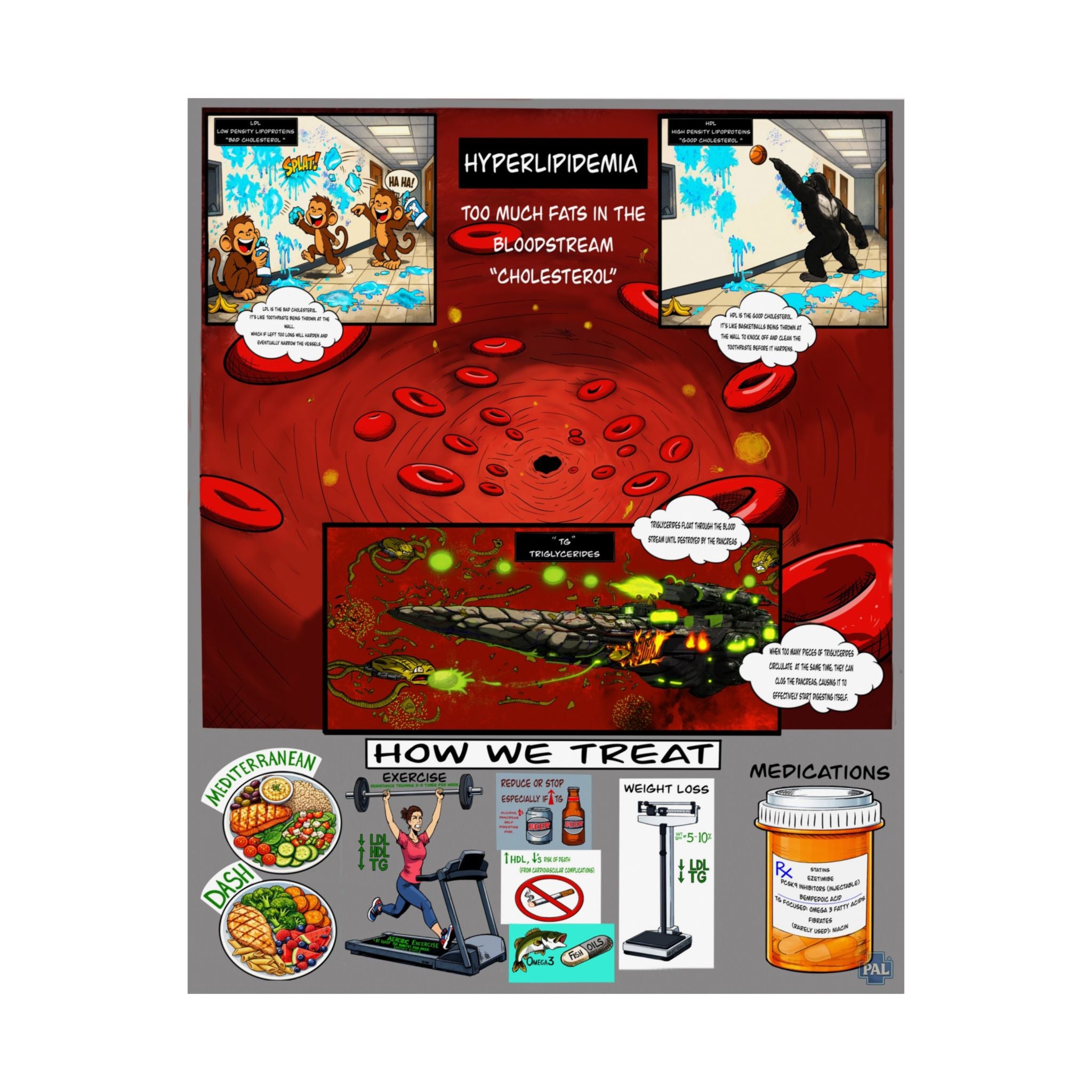 Lipids and Cholesterol Poster for Patient Education in Clinics and Hospitals