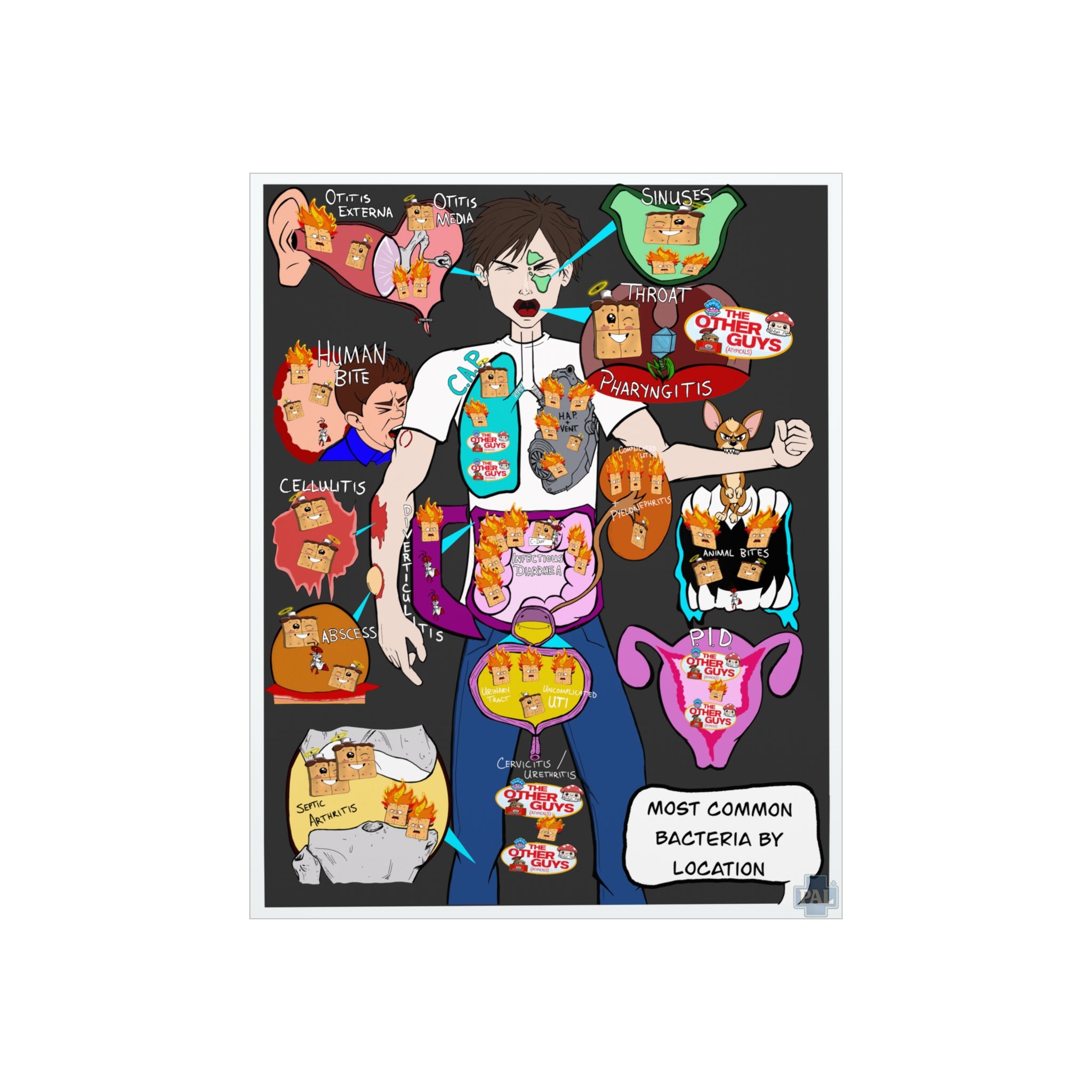 Clinical Bacteria Type by Region Foam Board education infographic for medical offices