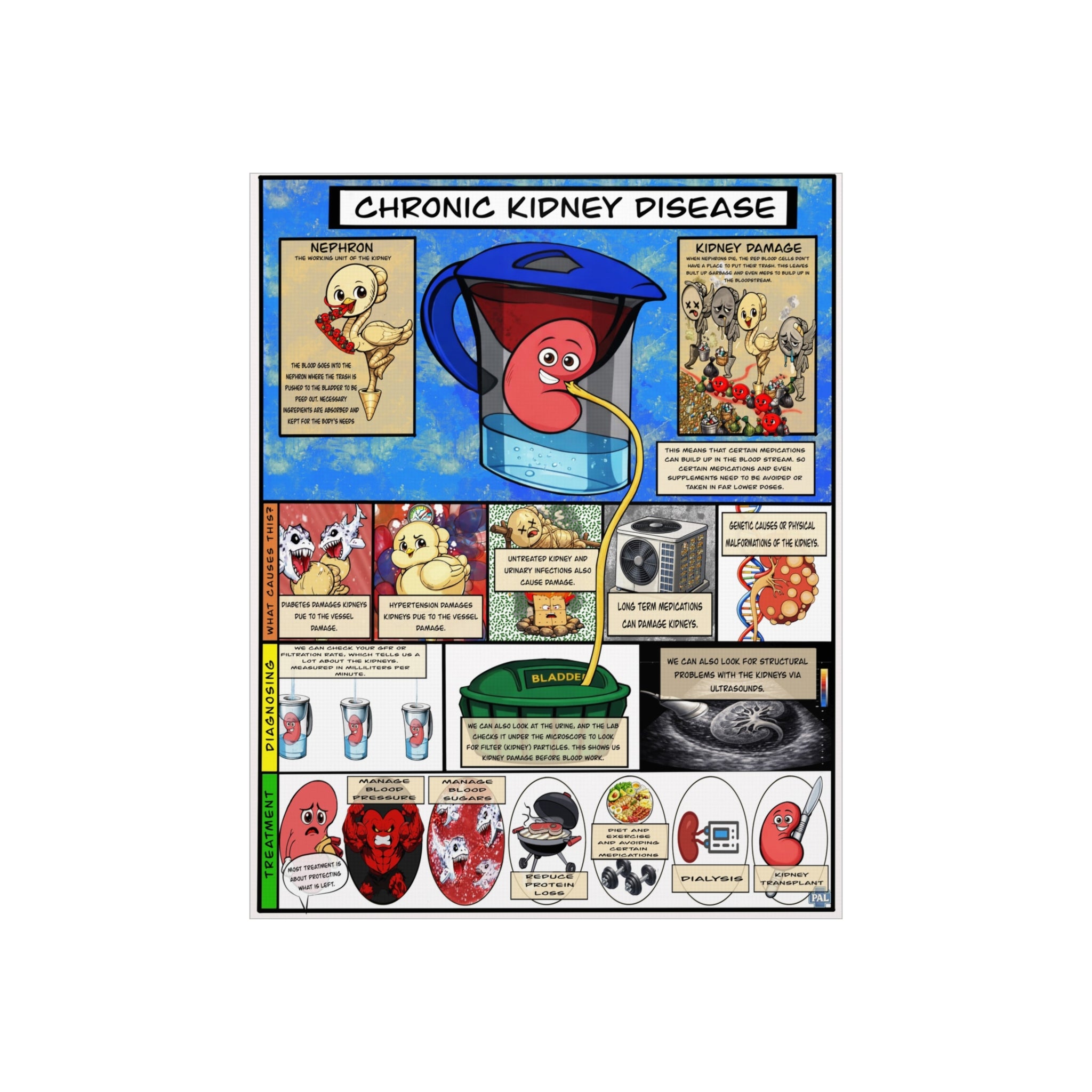 Clinical Kidney Foam Board education infographic for medical offices